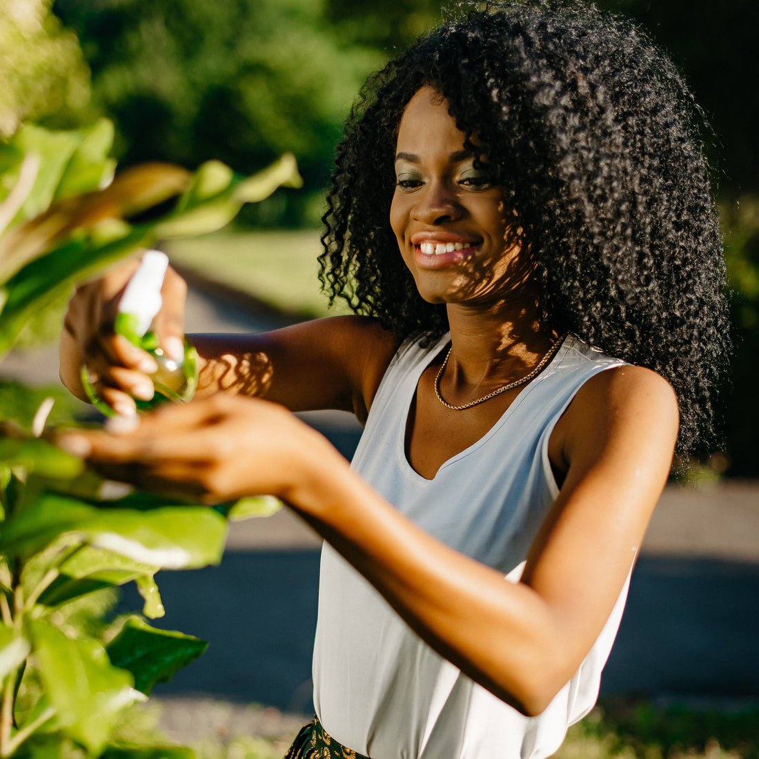 herbs that help heal the body internally. A self love journey is about internal healing. Invigorating Miracle LLC